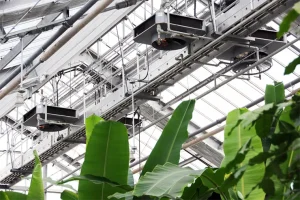 Greenhouse with advanced climate control systems and lush green plants growing under a glass ceiling.