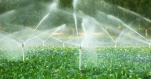 Automated irrigation system spraying water across a lush green agricultural field, demonstrating efficient water use and sustainable irrigation practices.